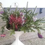 Apartment Noreia