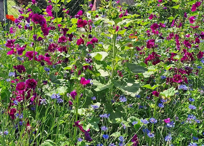 Noreia * Sankt Kanzian am Klopeiner See