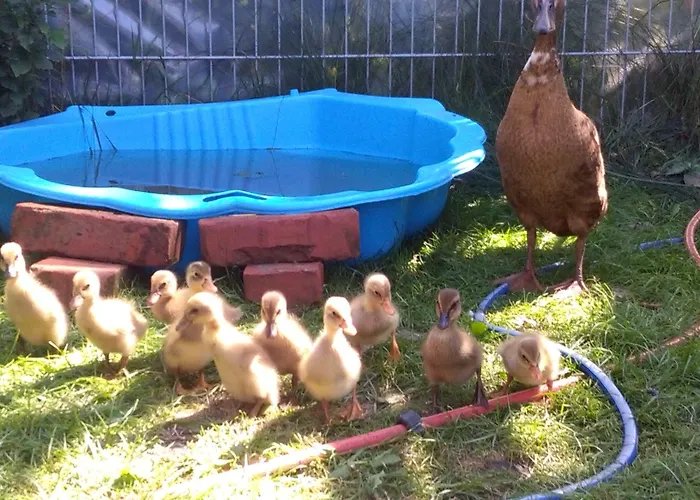 شقة Noreia Sankt Kanzian am Klopeiner See